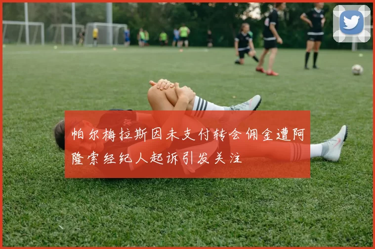 帕尔梅拉斯因未支付转会佣金遭阿隆索经纪人起诉引发关注